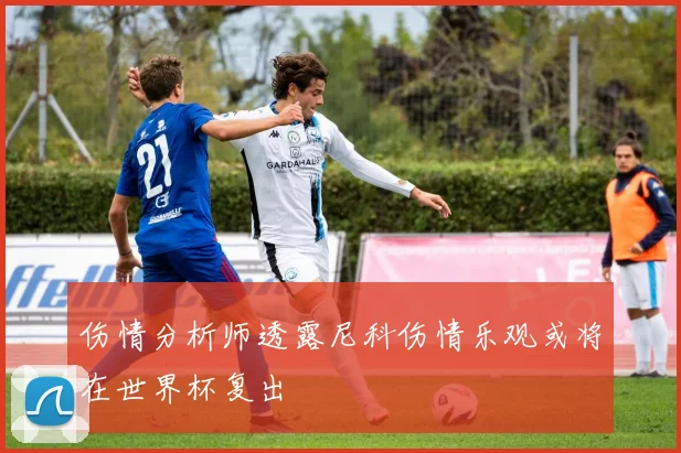 伤情分析师透露尼科伤情乐观或将在世界杯复出